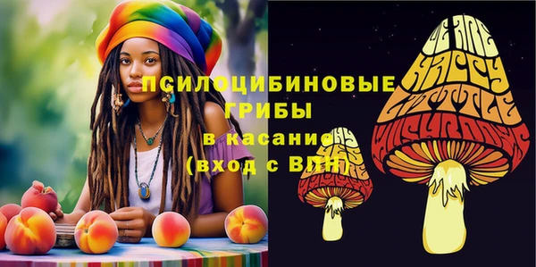 прущая мука Осташков